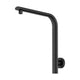 Ania Berlin Curved Shower Arm