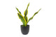Urban Products Mother in Laws Tongue Artificial Potted Plant Fake Faux Decor Green 34CM