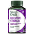 Nature's Own Executive Stress B 130 Tablets