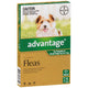 Advantage Dog Up To 4kg Green 4's