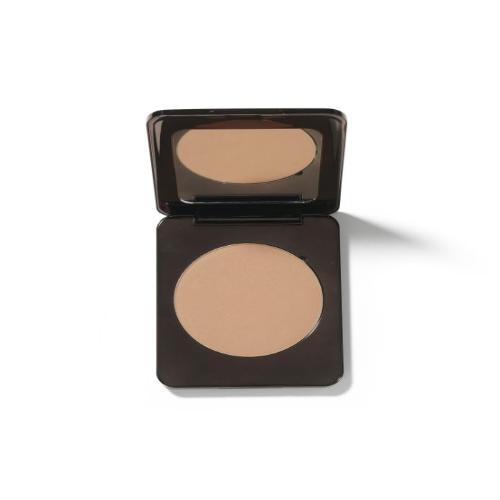 Runway Room Brosh Pan Only Shade Light 14G