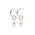 Adnohr Sensation Pear Drop Rose GP 16012