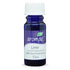 In Essence Lime Pure Essential Oil for Aromatherapy and Diffusion 12ML
