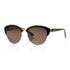 Carve Polarized Sunglasses Carolina Brown