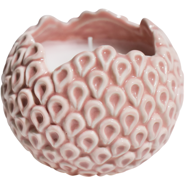 Lavida Candle Barnacle Rose