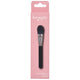 Priceline Foundation Brush
