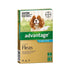 Advantage Flea Treatment For Medium Dogs 4-10KG 4 Pack
