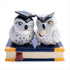MDI Australia Owl Salt and Pepper Shaker Set Ceramic Kitchen Decor