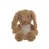 Aroma Home Beige Bunny Snuggable Hottie