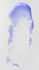 files/617Es2Q0qkS.jpg