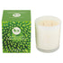 BX Earth Scented Soy Candle Lime and Coconut 300g