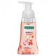 Palmolive Foaming Hand Wash Cherry Blossom 250ml