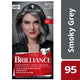 Schwarzkopf Brilliance 95 Smoky Grey