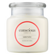 Conscious Candles Watermelon 510G