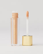 Napoleon Perdis Camera Finish Concealer LN10 4ML