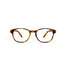 Azzurri Bari 2 Reading Glasses in Tortoiseshell 1.50