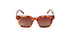 Jaz Flowers Mooloo Polarised Sunglasses Bright Amber Tortoise