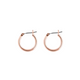 Rossan Fe4300R Hoop Rose Gold 15Mm