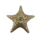 Theatre Seasonal Decor Champagne Starfish 16CM