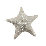 Theatre Seasonal Decor Ivory Starfish 16cm