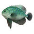 Theatre Seasonal Decor Fish Teal 30CM