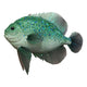 Theatre Seasonal Decor Fish Teal 30CM