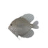Theatre Seasonal Decor Fish Ivory 36cm
