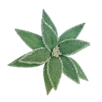 Theatre Seasonal Decor Mint Iced Poinsettia