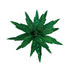 Theatre Seasonal Decor Green Poinsettia