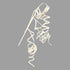 files/RXD292.jpg