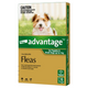 Advantage Dog 0-4Kg Small 6Pk (Green)