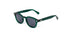 Jaz Flowers Seaward Sunglasses Jungle Green