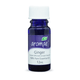 Aromae Ginger Essential Oil 12mL