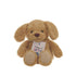 Aroma Home Snuggable Hottie Golden Dog