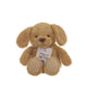 Aroma Home Snuggable Hottie Golden Dog