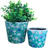LVD Pot S/2 Funky Teal