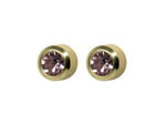 Studex System 75 24K Gold Plated Regular Bezel Alexandrite Ear Piercing Studs