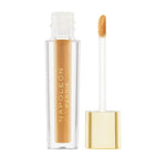 Napoleon Perdis Camera Finish Concealer My14