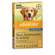 Advocate for Extra Large Dogs Over 25 KG Flea Heartworm and Worm Treatment