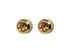 Studex Sr211y Regular Birthstone November Y Earring