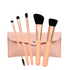 DB Cosmetics Peaches & Cream 5 Piece Brush Set